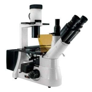 B950 - MICROSCÓPIO INVERTIDO DE IMUNOFLUORESCÊNCIA-FRENTE-DIREITA